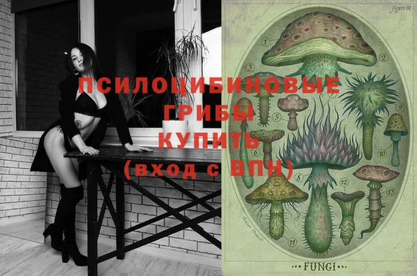 дурь Верхний Тагил